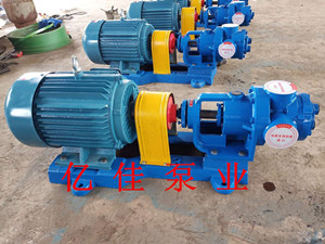 亿佳泵业NYP3/1.0高粘度转子泵准备发往安徽滁州